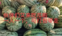 吃瓜星娱乐爆大瓜,揭秘娱乐圈惊人内幕